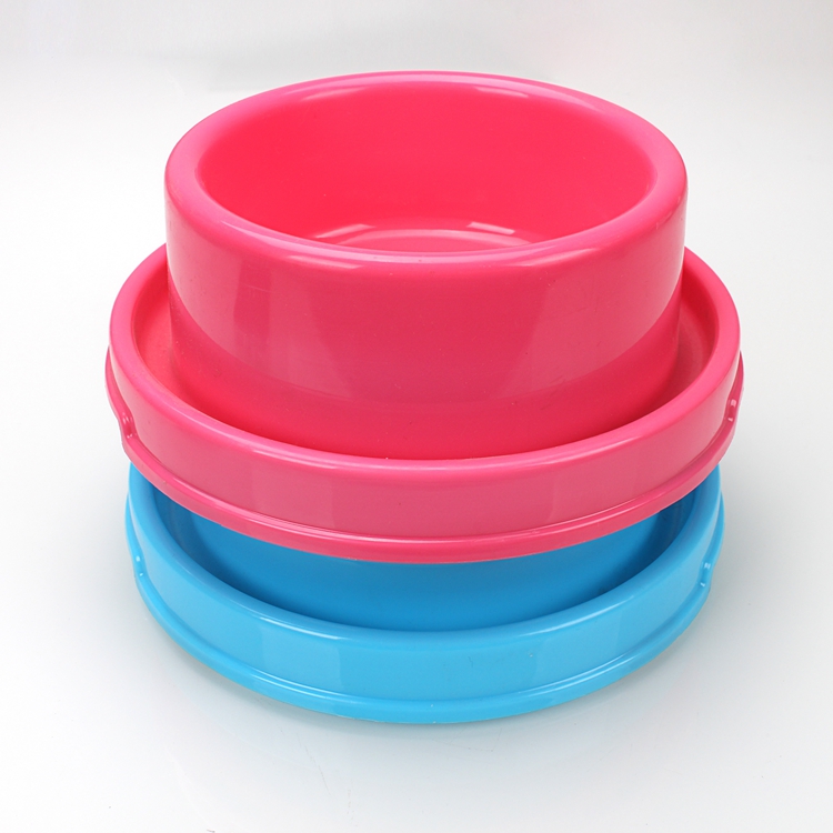 Colorful Cat  Bowls